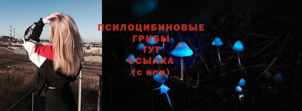 прущая мука Белокуриха