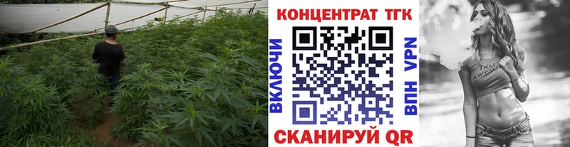 как найти наркотики Курильск Дистиллят ТГК гашишное масло