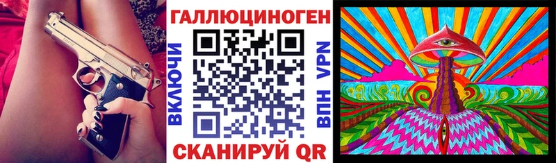 Псилоцибиновые грибы MAGIC MUSHROOMS  наркота  Курильск 